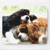 Brothers Cavaliers Muismat (Voorkant)