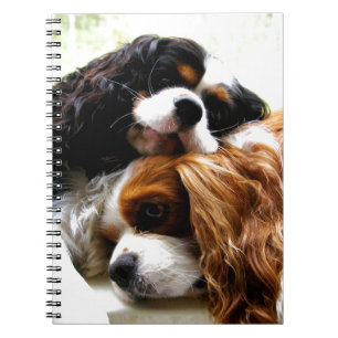Brothers Cavaliers Notitieboek