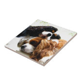 Brothers Cavaliers Tegeltje (Zijkant)