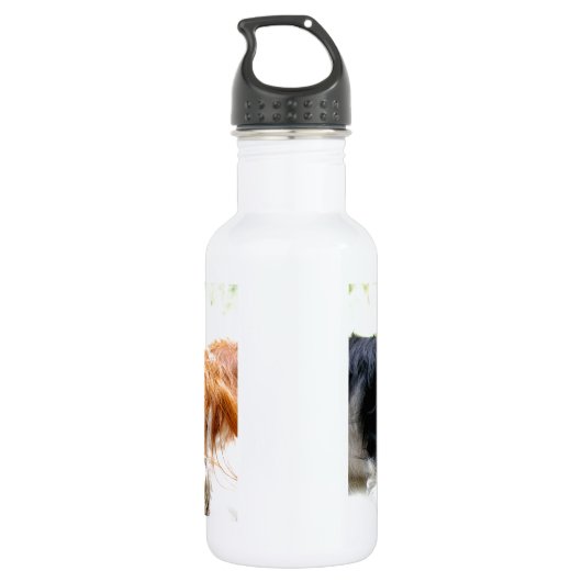 Brothers Cavaliers Waterfles (Achterkant)