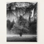 Brouillard dans la prairie (Dos)