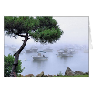 Brouillard de bord de mer