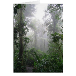 Brouillard de matin