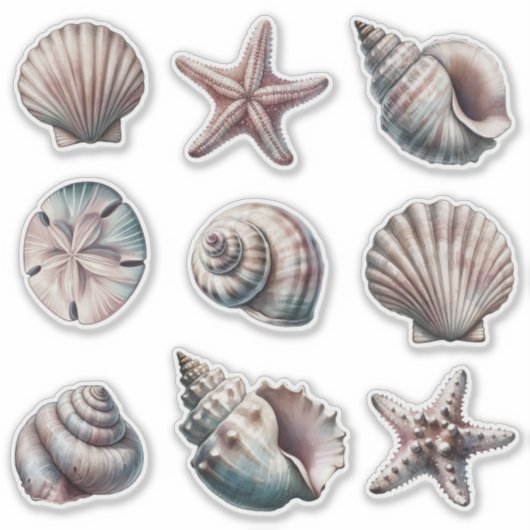 Brouillard Divers Stickers Sea Shell - ensemble 9 (Devant)