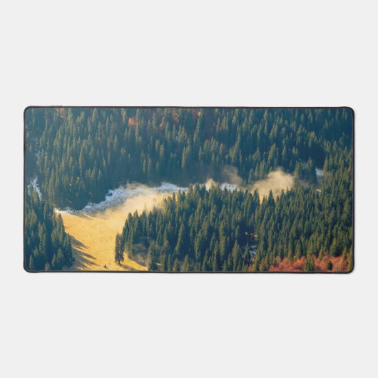 Brouillard roulant sur un champ d'automne solitair (Recto)