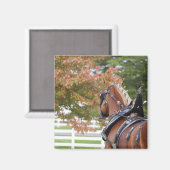 Brouillon belge cheval dans aimant harnais (Recto/Verso)