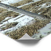 Brouillon Belge En Paddock Poster (Coin)