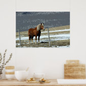 Brouillon Belge En Paddock Poster (Cuisine)