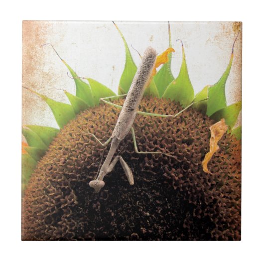 Brouwen voor zonneschijn tegeltje (Voorkant)