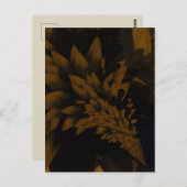 Brown and Black Bloom Briefkaart (Voorkant / Achterkant)