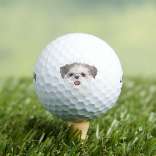 Brown and White Shih Tzu Golfballen (Insitu Shirt)