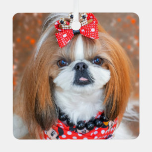 Brown and White Shih Tzu Puppy Dog Metalen Ornament