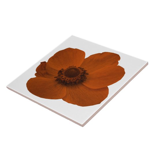 Brown Anemone Tile Tegeltje (Zijkant)
