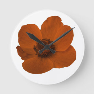Brown Anemone Wall klok