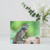 Brown Anole Lizard Briefkaart (Staand voorkant)