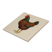 Brown Barnevelder Hen Chicken Tegeltje (Zijkant)