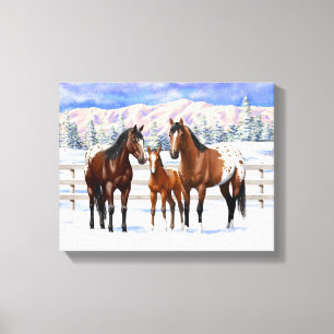 Brown Bay Appaloosa-paarden in sneeuw Canvas Afdruk