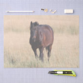 Brown Bay Wild Mustang Paard Tissuepapier (Craft)