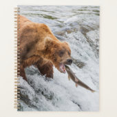 Brown Bear Catches Red Salmon (Devant)