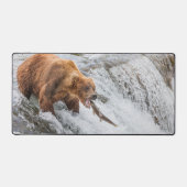 Brown Bear Catches Red Salmon (Recto)