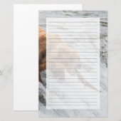 Brown Bear Catches Red Salmon Briefpapier (Voorkant / Achterkant)