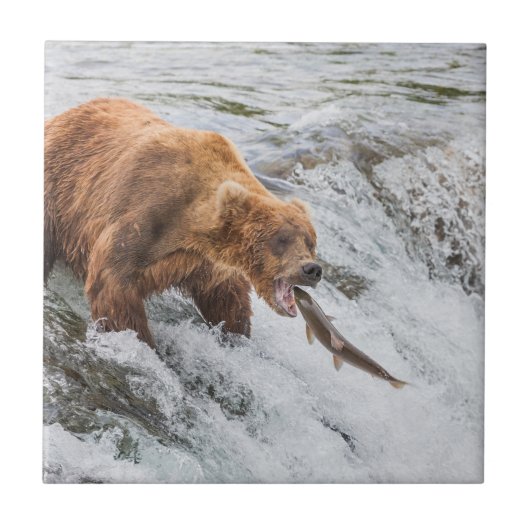 Brown Bear Catches Red Salmon Tegeltje (Voorkant)