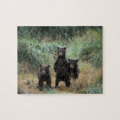 brown bear, Ursus arctos, grizzly bear, Ursus 7 Legpuzzel (Horizontaal)