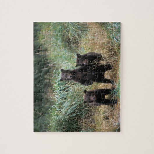 brown bear, Ursus arctos, grizzly bear, Ursus 7 Legpuzzel (Verticaal)
