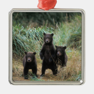 brown bear, Ursus arctos, grizzly bear, Ursus 7 Metalen Ornament
