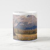 brown bear, Ursus arctos, grizzly bear, Ursus Jumbo Mok (Voorkant)