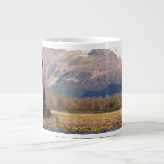 brown bear, Ursus arctos, grizzly bear, Ursus Jumbo Mok (Voorkant)