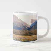 brown bear, Ursus arctos, grizzly bear, Ursus Jumbo Mok (Rechts)