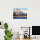 brown bear, Ursus arctos, grizzly bear, Ursus Poster (Thuiskantoor)