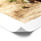 Brown bear walking poster (Hoek)