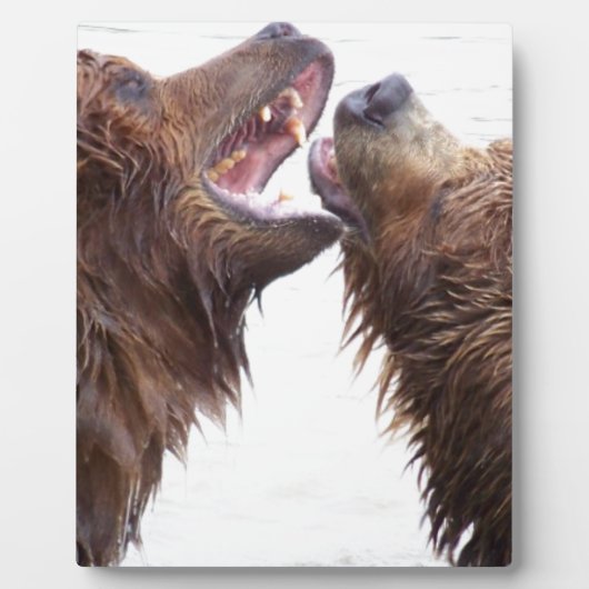 Brown Bears Fotoplaat (Voorkant)
