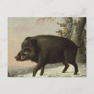  Brown Boar Hunting Schilderij, Wildlife Art Briefkaart