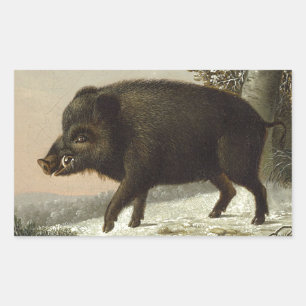 Brown Boar Hunting Schilderij, Wildlife Art Rechthoekige Sticker