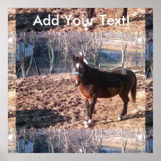 Brown Boerderij Horse Raleigh Poster