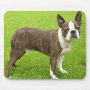 Brown Boston Terrier Standing Mousepad Muismat