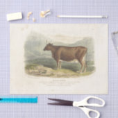 Brown Bull Koe Ephemera Decoupage  Boerderij Tissuepapier (Craft)