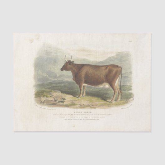 Brown Bull Koe Ephemera Decoupage  Boerderij Tissuepapier (Voorkant)