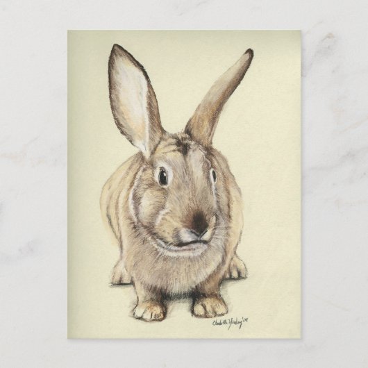 "Brown Bunny" Animal art Briefkaart (Voorkant)