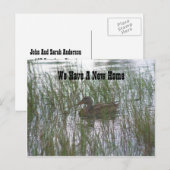 Brown Canard Nouvelle adresse Nature Carte postale (Devant / Derrière)