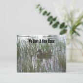 Brown Canard Nouvelle adresse Nature Carte postale (Debout devant)