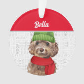 Brown Cockapoo Dog (devant)