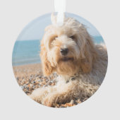 Brown Cockapoo Dog met naam en foto Ornament (achterkant)