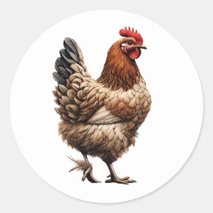 Brown Country Chicken Boerderij Barnyard Ronde Sticker