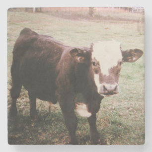 Brown Cream Koe Stenen Onderzetter