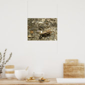 Brown Cricket Print (Keuken)