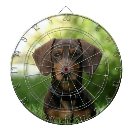 Brown Dachshund Puppy Dartbord (Voorkant)